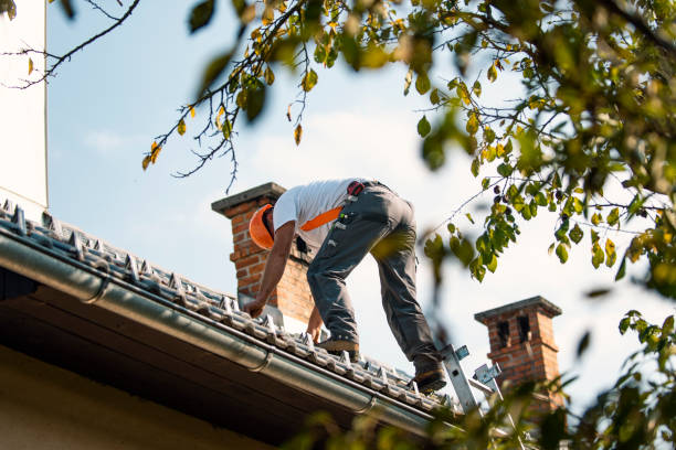 Fast & Reliable Emergency Roof Repairs in Shell Ridge, CA