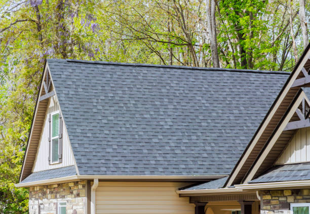 Best Roof Leak Repair  in Shell Ridge, CA