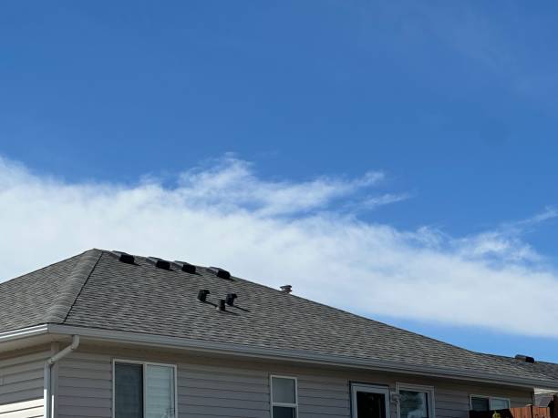 Best Gutter Installation and Repair  in Shell Ridge, CA